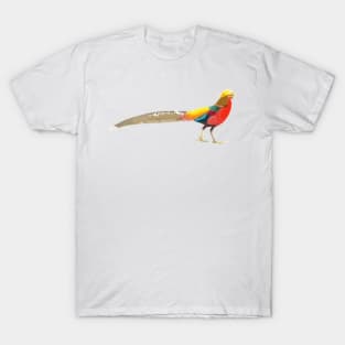 Golden Pheasant Digital Painting T-Shirt